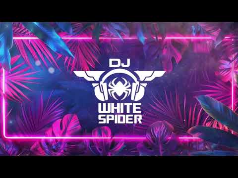 Dj White Spider - 2025  مكس عراقي