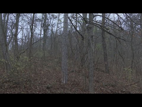 Budai Híradó 2026. január 13.