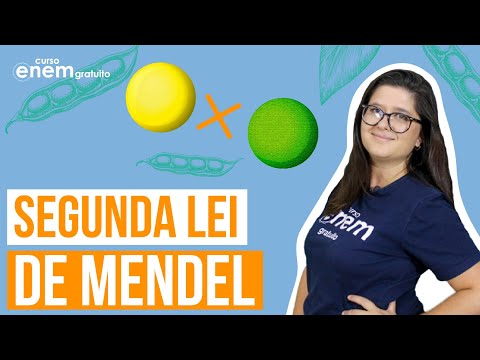 SEGUNDA LEI DE MENDEL (GENÉTICA) | Resumo de Biologia para o Enem