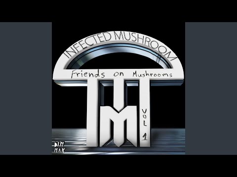 Where Do I Belong - Infected Mushroom