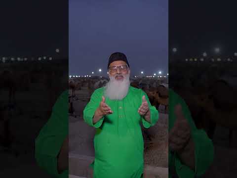 #ChhipaSahab #Chhipa #MrChhipa #SocialWorker #Qurbani