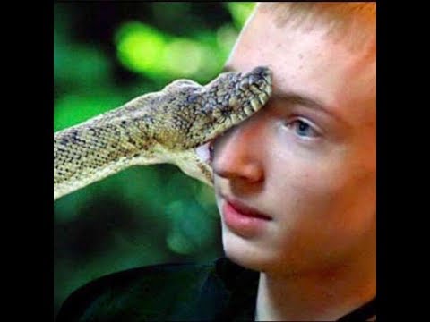 Tweek's Performance at Shine 2017