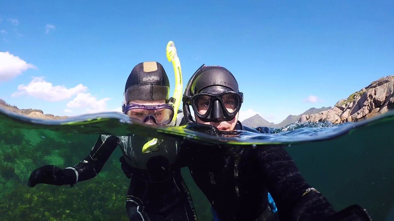 Take a peek into Diving & Snorkelling adventure in Lofoten island.
