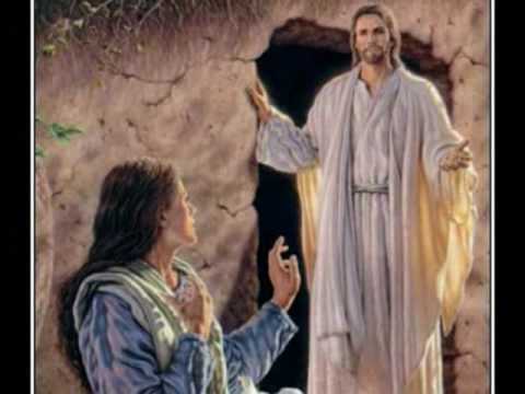 Cristo Vive - Dei Verbum