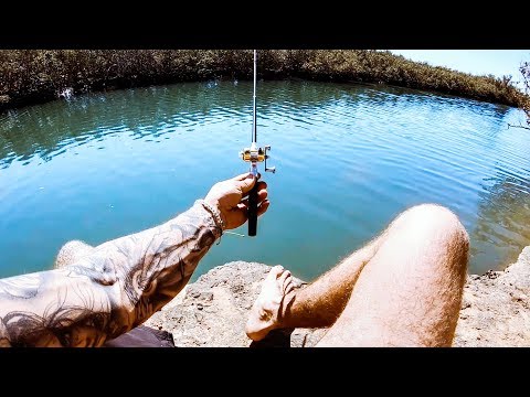 YBS Lifestyle Ep 13 - WORLD'S SMALLEST FISHING ROD CHALLENGE | Amazing Dolphin Encounter