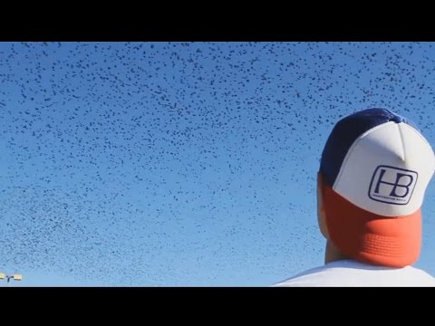 05. Meser - Bez Limitu