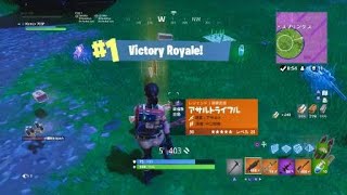 ［Fortnite］2回連続11キルドン勝つw