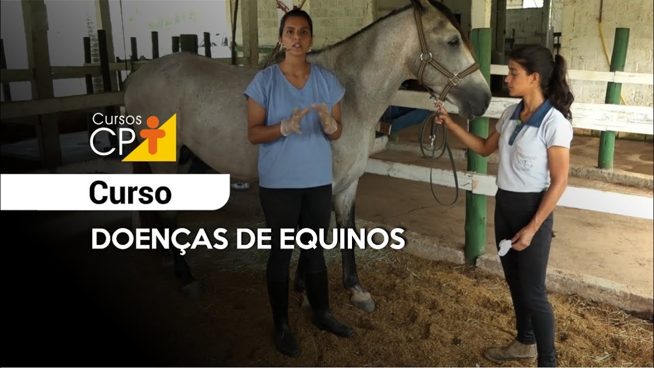 Doenças de Equinos l Cursos CPT