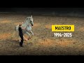 The Legacy Of Maestro 1994 2025