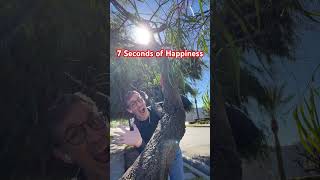 7 seconds of Happiness #lawofattraction #dance #attract #happy #mindset #viralvideo #viral #expect