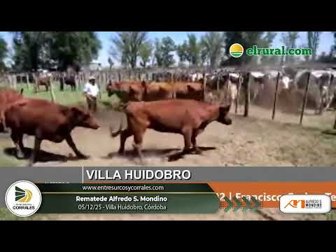 05-12-25 - Remate de Alfredo S. Mondino en Villa Huidobro, Córdoba
