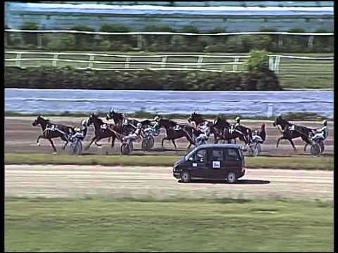 trotto 28/05/2015 - 3° corsa