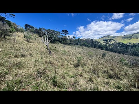 Área 6.000 m2- Escritura Registrada- R$ 99.000-Cambuí-MG/Senador Amaral-MG- 