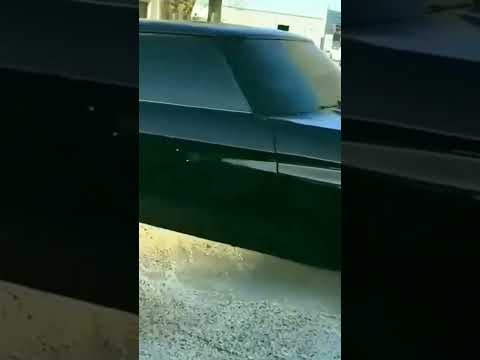 Pra eles isso tudo é comum "dois maluco" num (Opala 71)