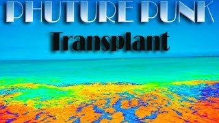 Phuture Punk - Transplant