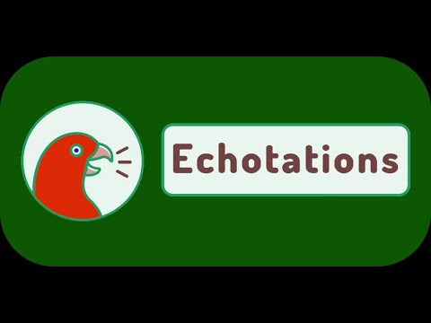 Echotations - Sound Imitation video thumbnail