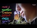 ஓ பட்டர்பிளை Oh Butterfly Love Tamil Whatsapp Status Song