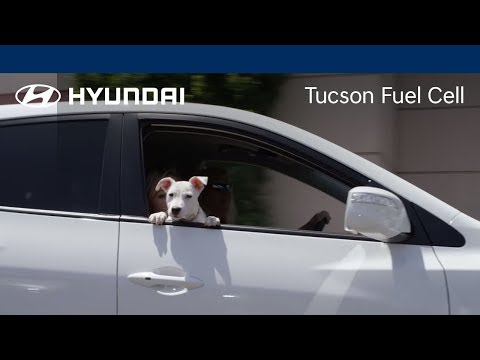 1st Year Owner Story | Tucson Fuel Cell | Hyundai