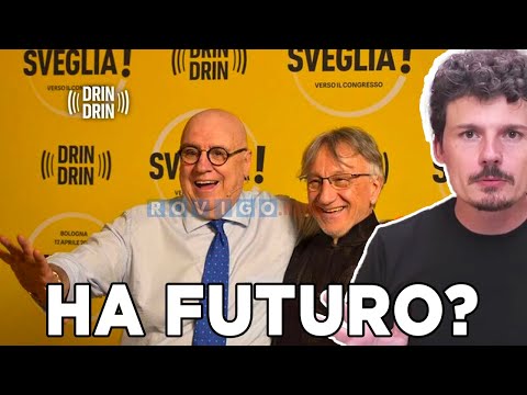 What does SHY think of NOW! (DRIN DRIN) by Michele Boldrin?