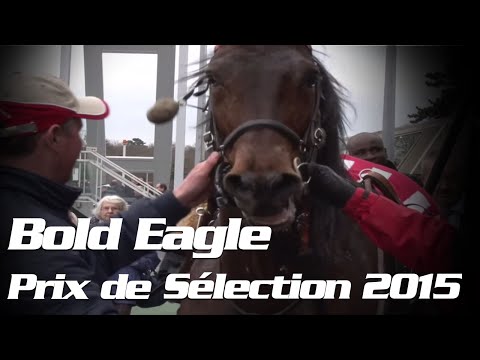 Prix de Sélection 2015 : clôture en apothéose pour Bold Eagle et Sébastien Guarato