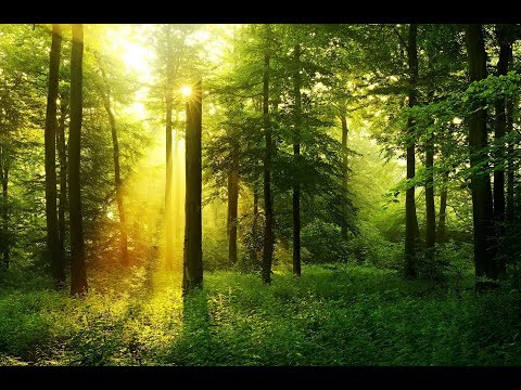 download lagu mp3 mp4 Resplendissante, download lagu Resplendissante gratis, unduh video klip Resplendissante