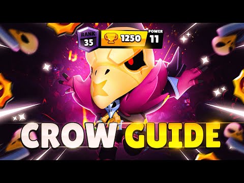THE ONLY CROW GUIDE YOU'LL EVER NEED!