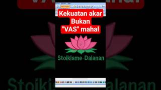 Thumbnail Stoikisme Dalanan