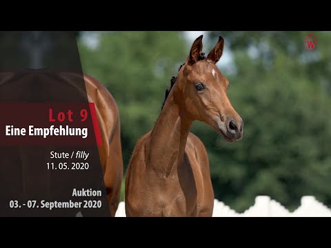 Online-Auktion v. 03. - 07.09.2020 Lot 9 Eine Empfehlung Stute v. Escamillo - Fürstenball