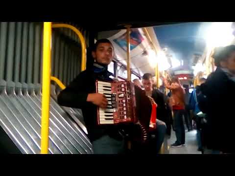 Kad Harmonika Zasvira Linija 56