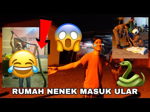 RUMAH NENEK AQIL MASUK ULAR 😱🐍