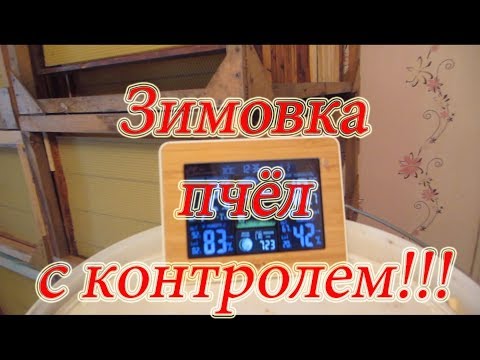 КАК ЗИМУЮТ ПЧЁЛЫ В ФЕВРАЛЕ  МЕТЕОСТАНЦИЯ ДЛЯ ЗИМОВНИКА🔥🔥🔥