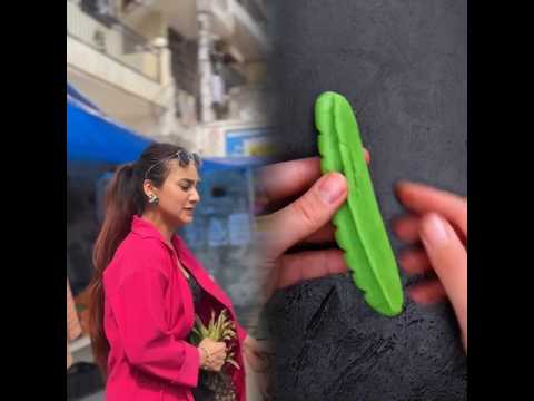 #illustration#tattoo#art#pov#procreate #drawing#whydidntmyexcomeback #digitalart