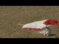 Salto de Felix Baumgartner