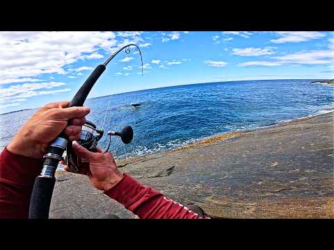 Land-based fishing for Groper