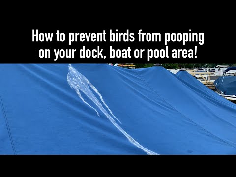 YouTube video about: How to keep birds away from pool area?