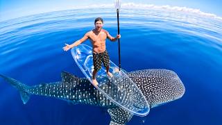Exploring For Sea Creatures On My Transparent Kayak