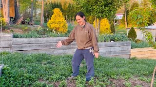 Let’m Grow | Homestead Vlog | Garden Update | April 11, 2025