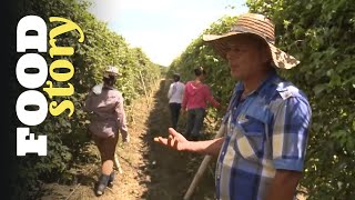 Thumbnail del capítulo