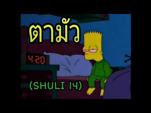 ตามัว - SHULI 14
