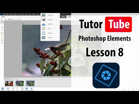 Photoshop Elements Tutorial Lesson 8 Working with Version Set