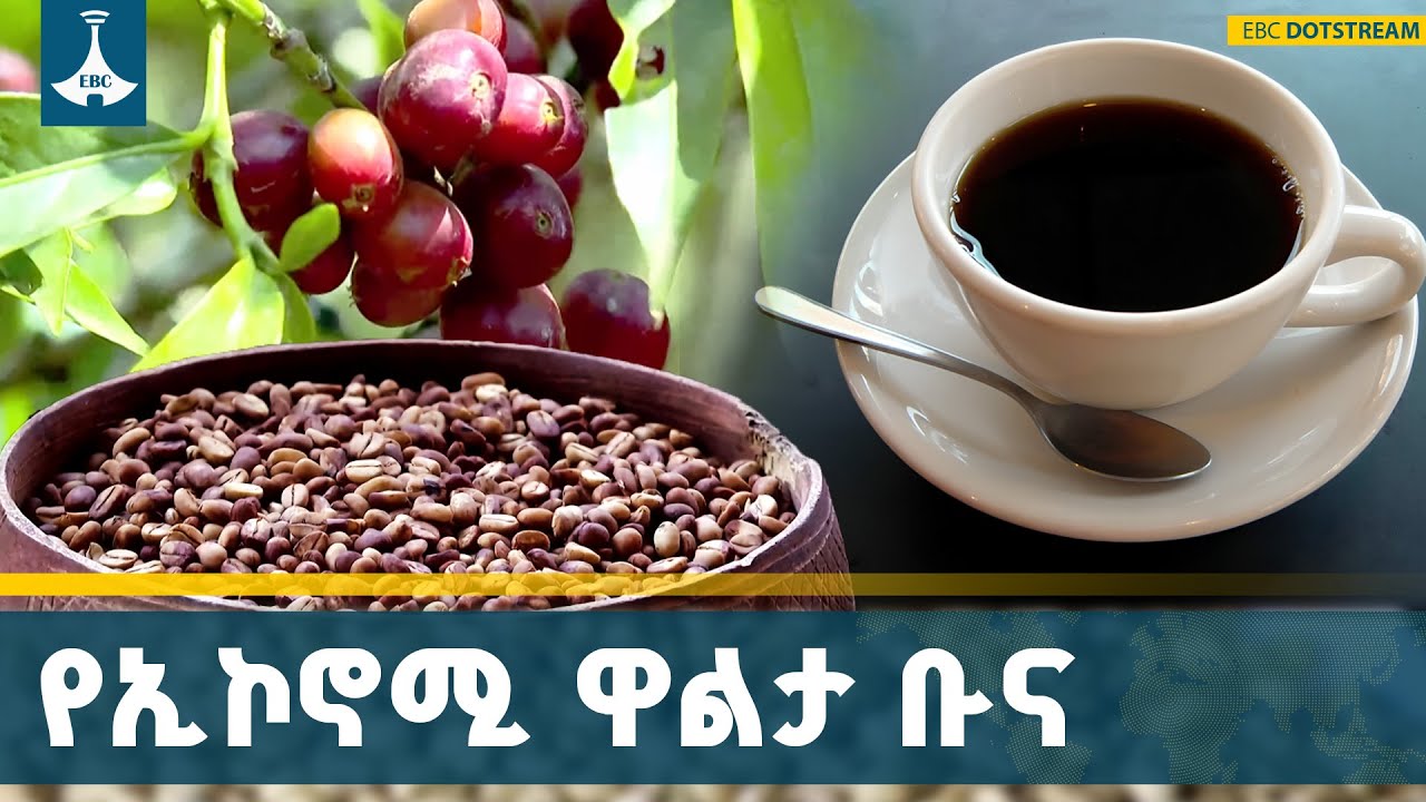 በቡና ምርቱ የሚታወቀው የጅማ ዞን የቡና ምርት ኢኮኖሚያዊ ጠቀሜታ | Coffee | Economy | Jimmma |