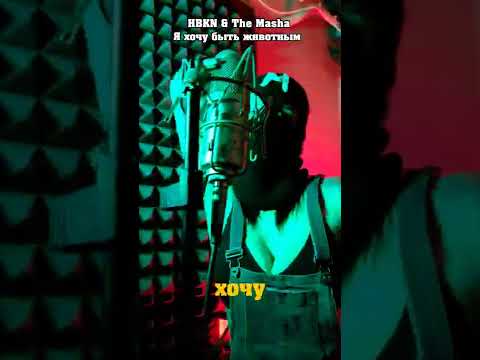 HBKN and The Masha - Я хочу быть животным (Snippet)