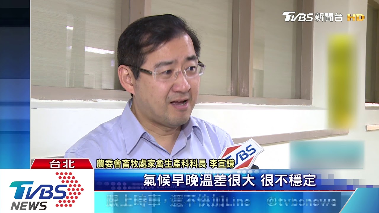 全台日缺40萬顆蛋! 農委會:從「美日」進口