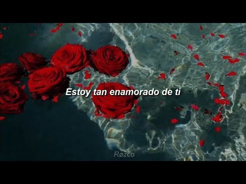 Vlad Holiday - So Damn Into You (Sub. Español)