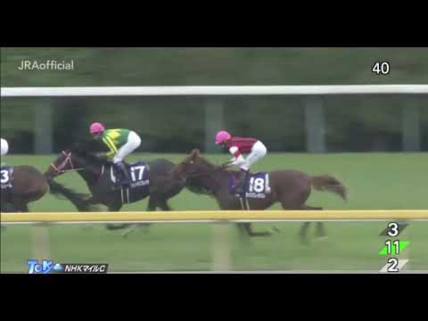 horseRacing  Japan 2020 05 10 NHK Mile Cup Lauda Sion