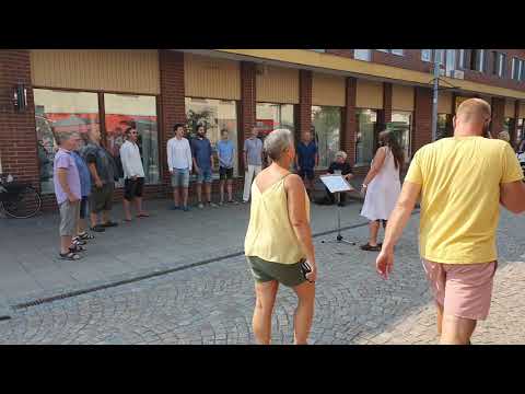 Ronjasånger på gågatan i Åmål med Claes Janson