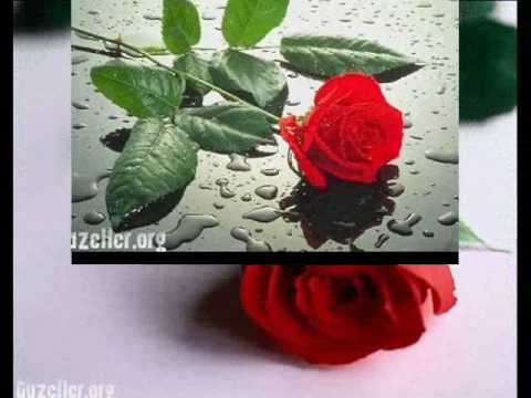 Burak Aslan & ilayda Askim icin