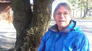 Using keys to release the Kingdom