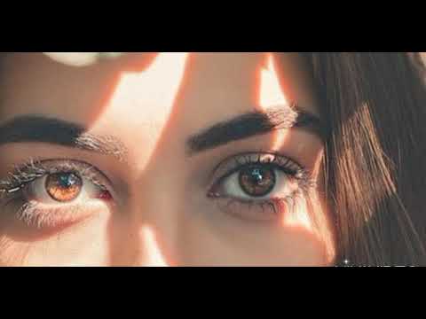 حرب وسلاح وخساير دولة وجنود وعشاير مهند زعيتر