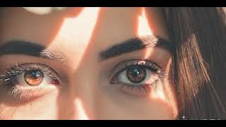 كلمات اغنية حرب وسلاح وخساير دولة وجنود وعشاير مهند زعيتر